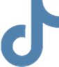 TikTok Ads